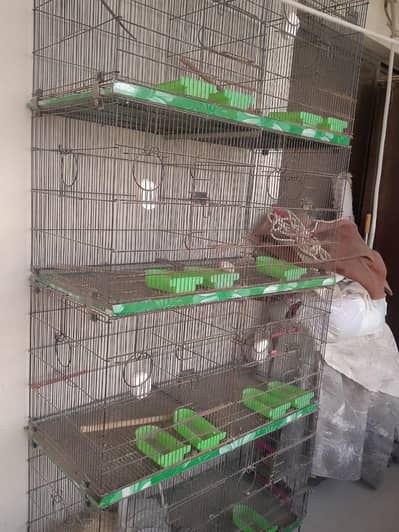 Master cage