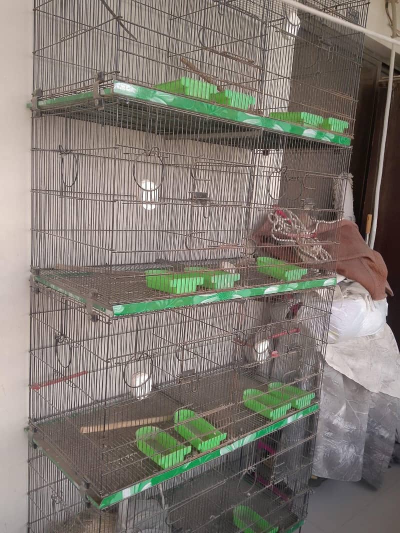 Master cage 0