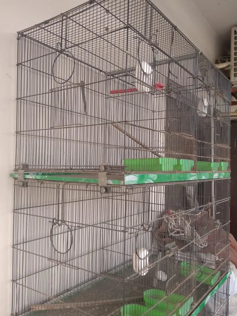 Master cage — photo 2