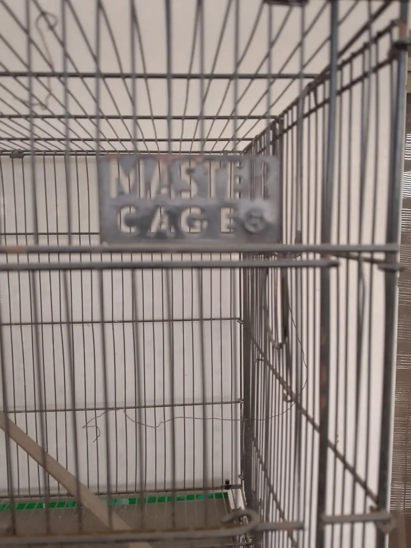 Master cage — photo 3