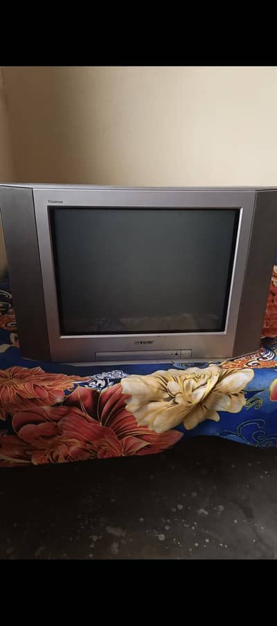 Large Size TV