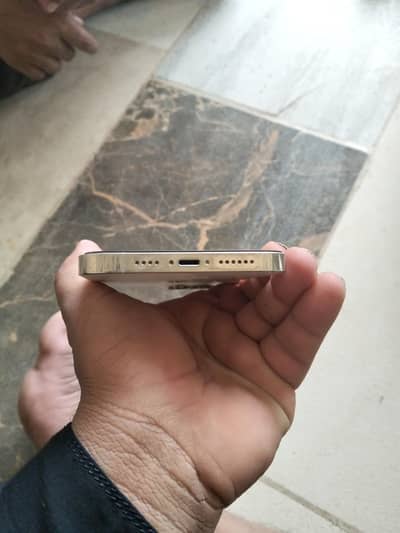 Apple iPhone 12 Pro Max