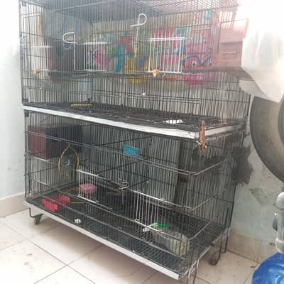 Double portion cages