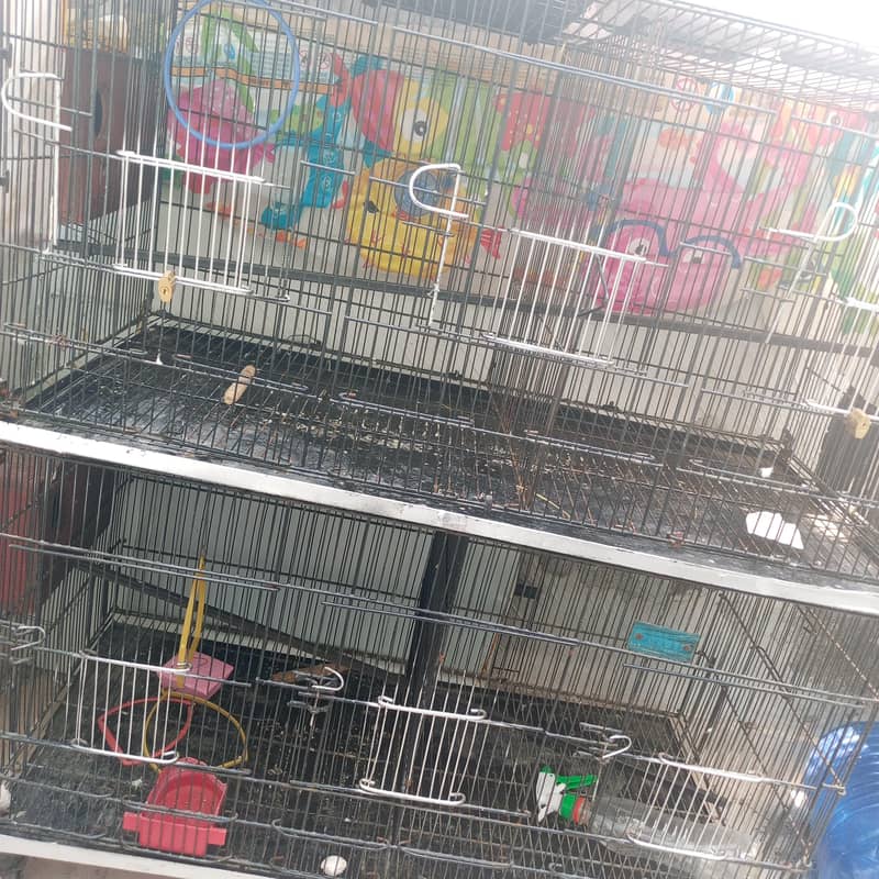 Double portion cages 1