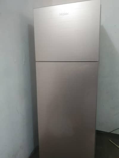 haier fridge medium size Glassy body 03391135762