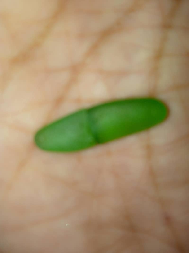 stone 4