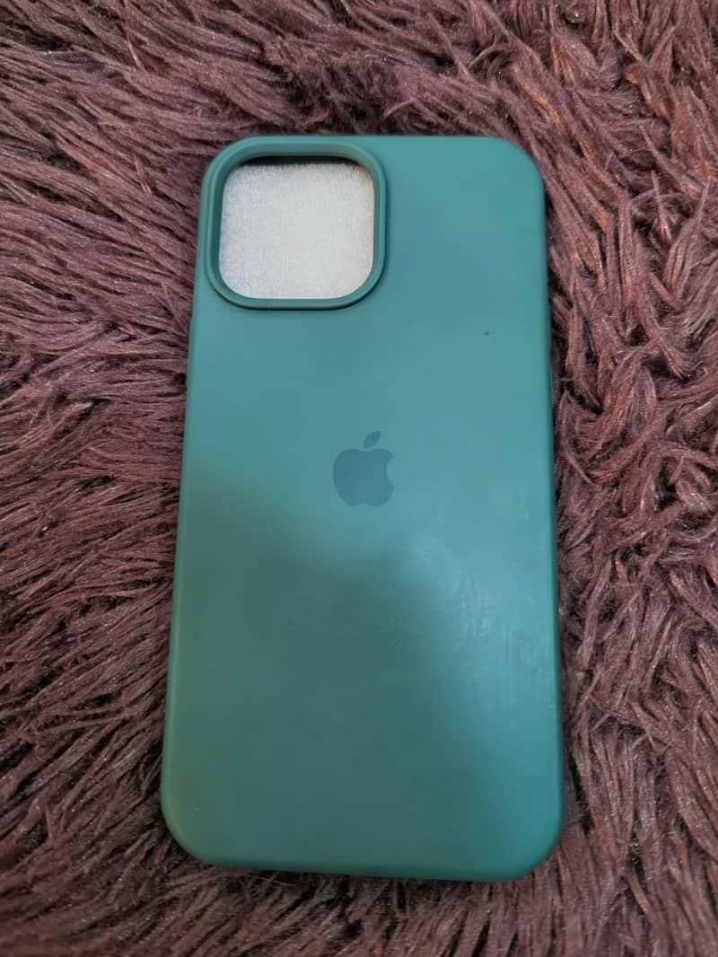 IPhone 13 Pro Max Cases 7
