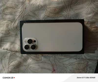 Apple iPhone 12 Pro Max