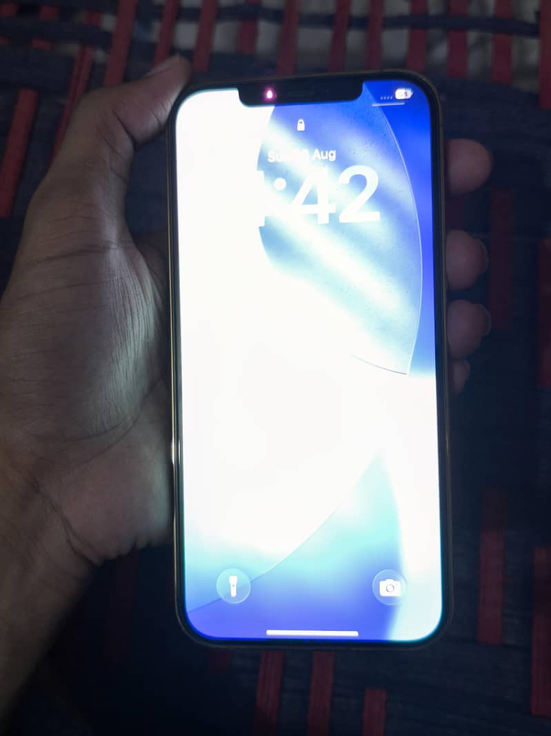 Apple iPhone 12 Pro Max 4