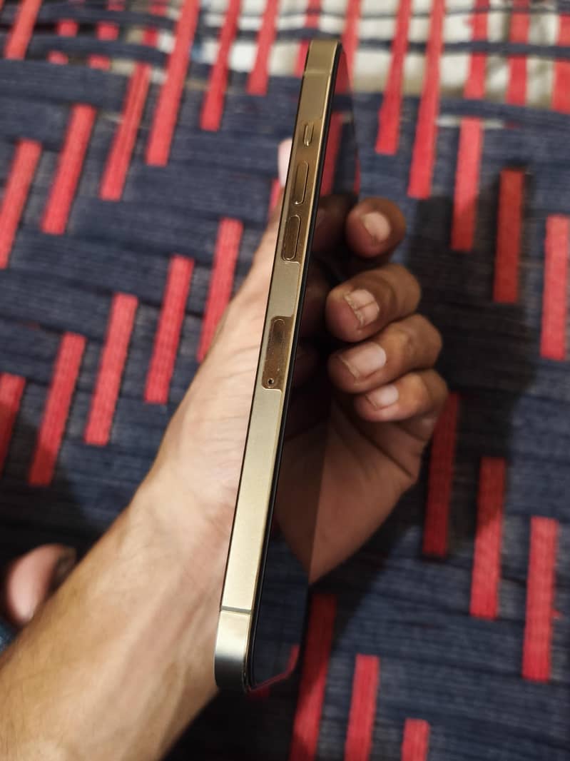 Apple iPhone 12 Pro Max 6