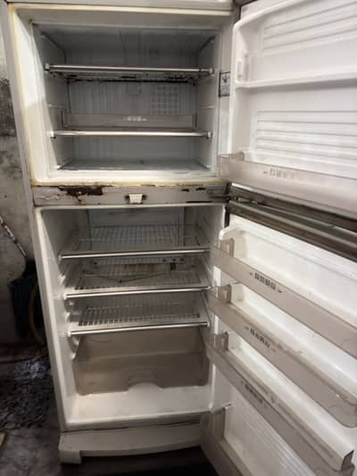 Fridge