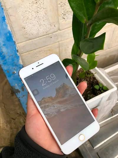 Apple iPhone 7 Plus pta apporved 128gb
