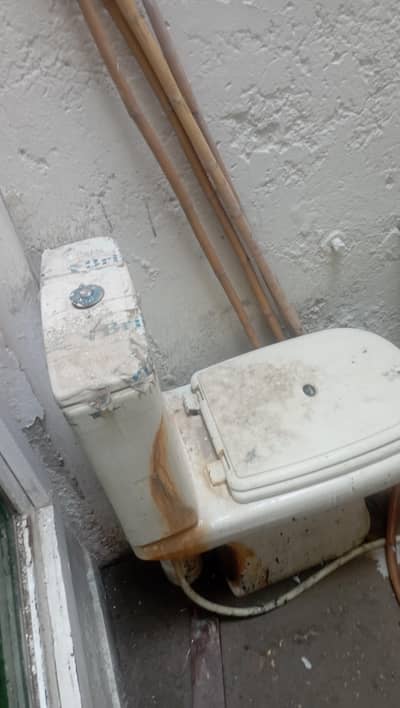 commode Flush Bathroom