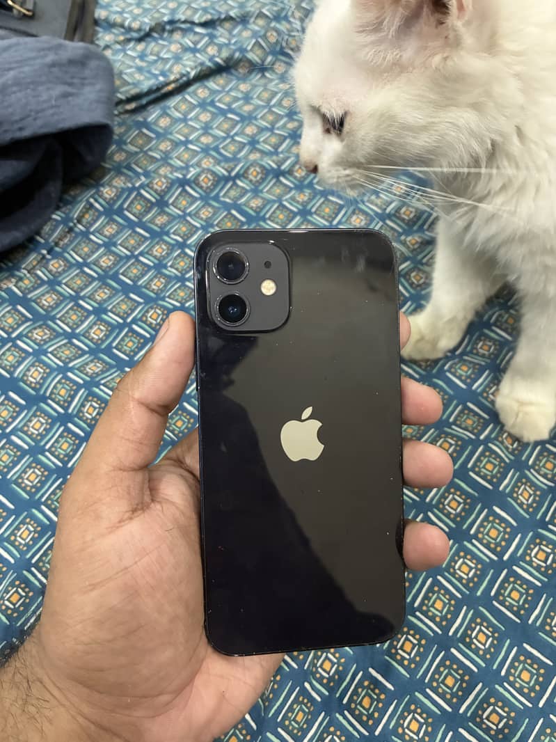 Apple iPhone 12 2