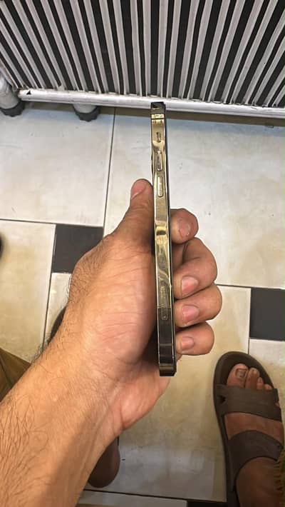 Apple iPhone 12 pro
