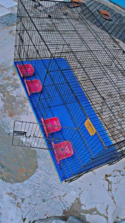 Cage for Sale | Strong & Clean Bird Cage | Good Condition
