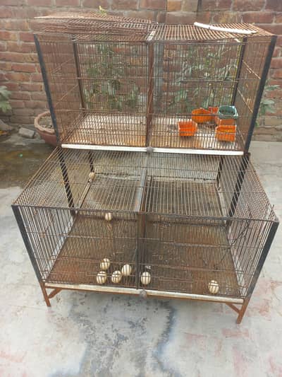 birds cages