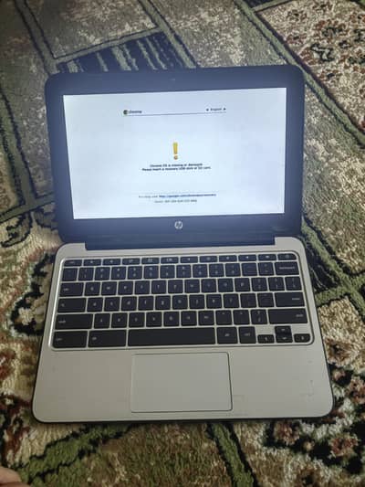 hp chrome book