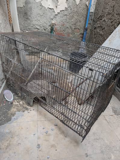 Cage for sale
