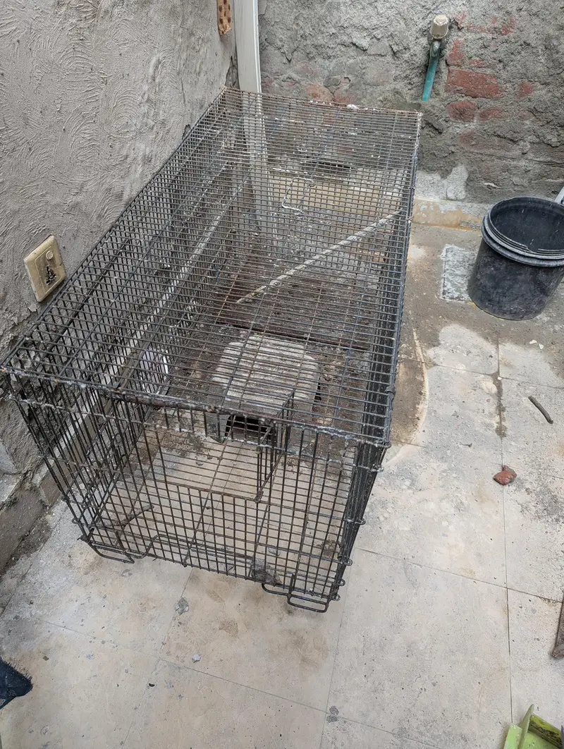 Cage for sale — photo 3