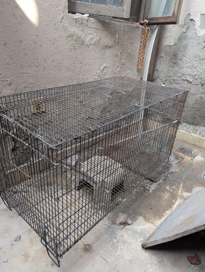 Cage for sale — photo 4