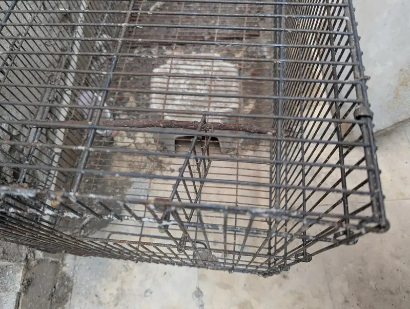 Cage for sale — photo 5