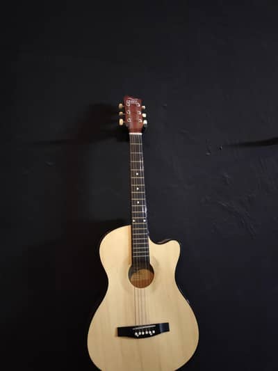 acoustic guitar
