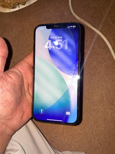 Apple iPhone 12 Pro Max