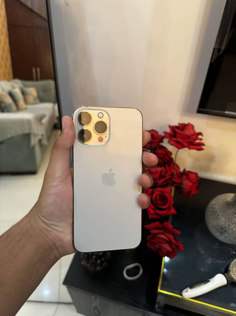 iPhone 13 Pro Max 0