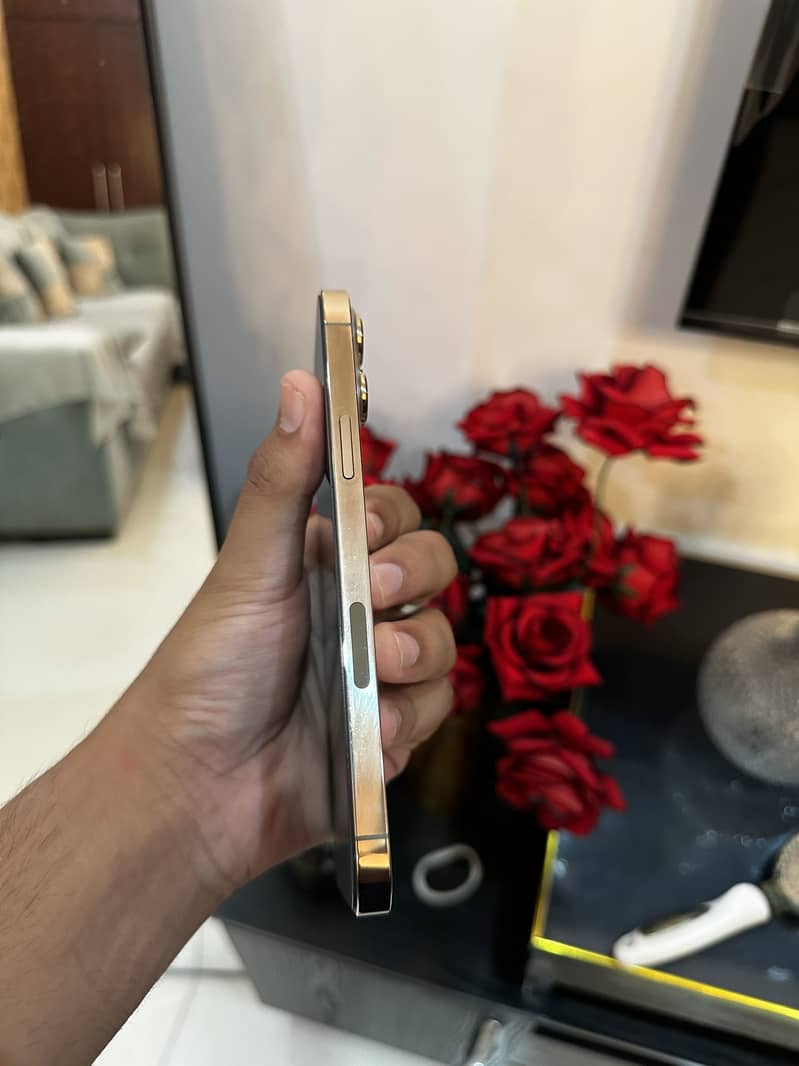 iPhone 13 Pro Max 1