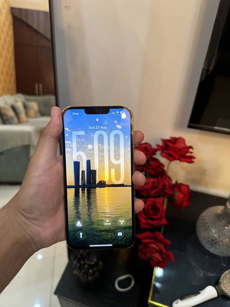 iPhone 13 Pro Max 2