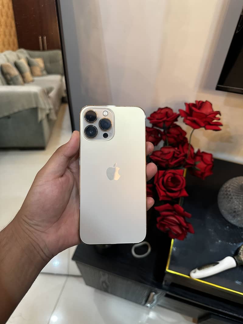 iPhone 13 Pro Max 3