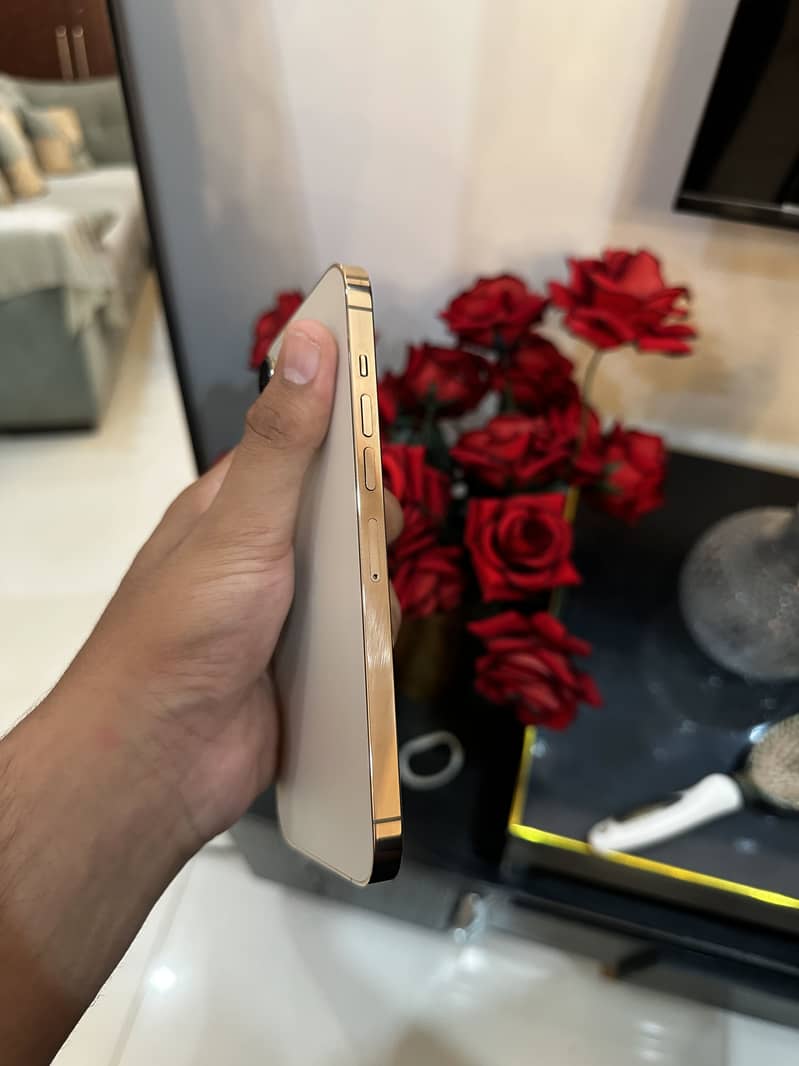 iPhone 13 Pro Max 4