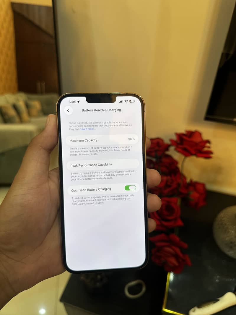 iPhone 13 Pro Max 5