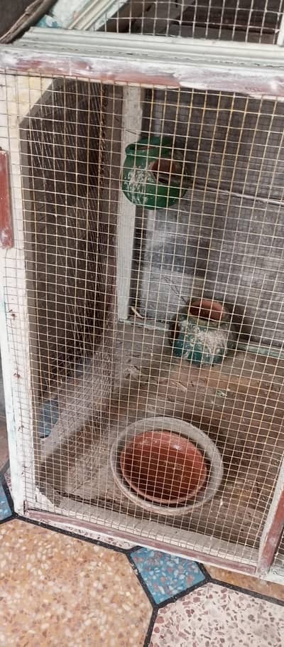 bird cage