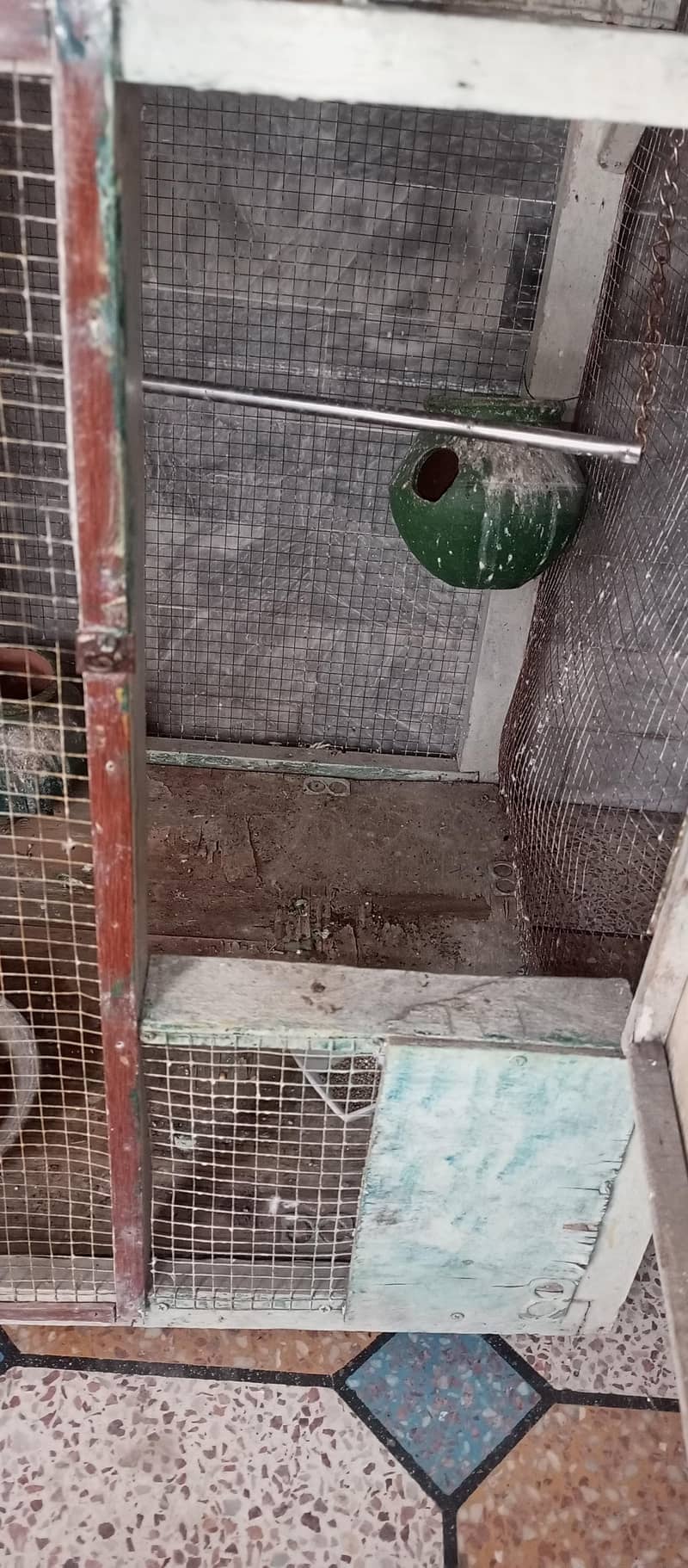 bird cage 1