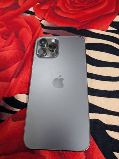 Apple iPhone 12 Pro Max