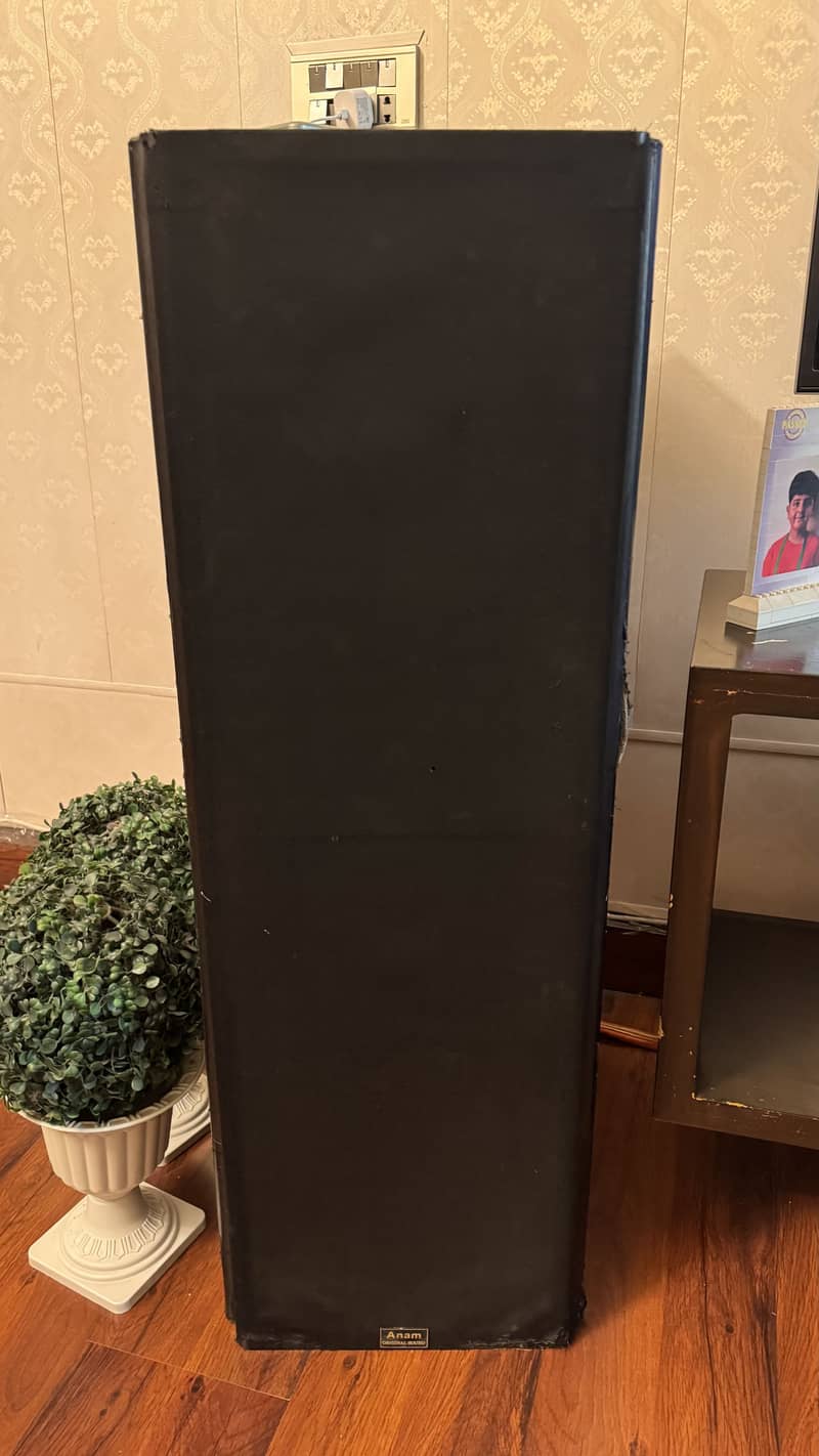 Home audio setup 2