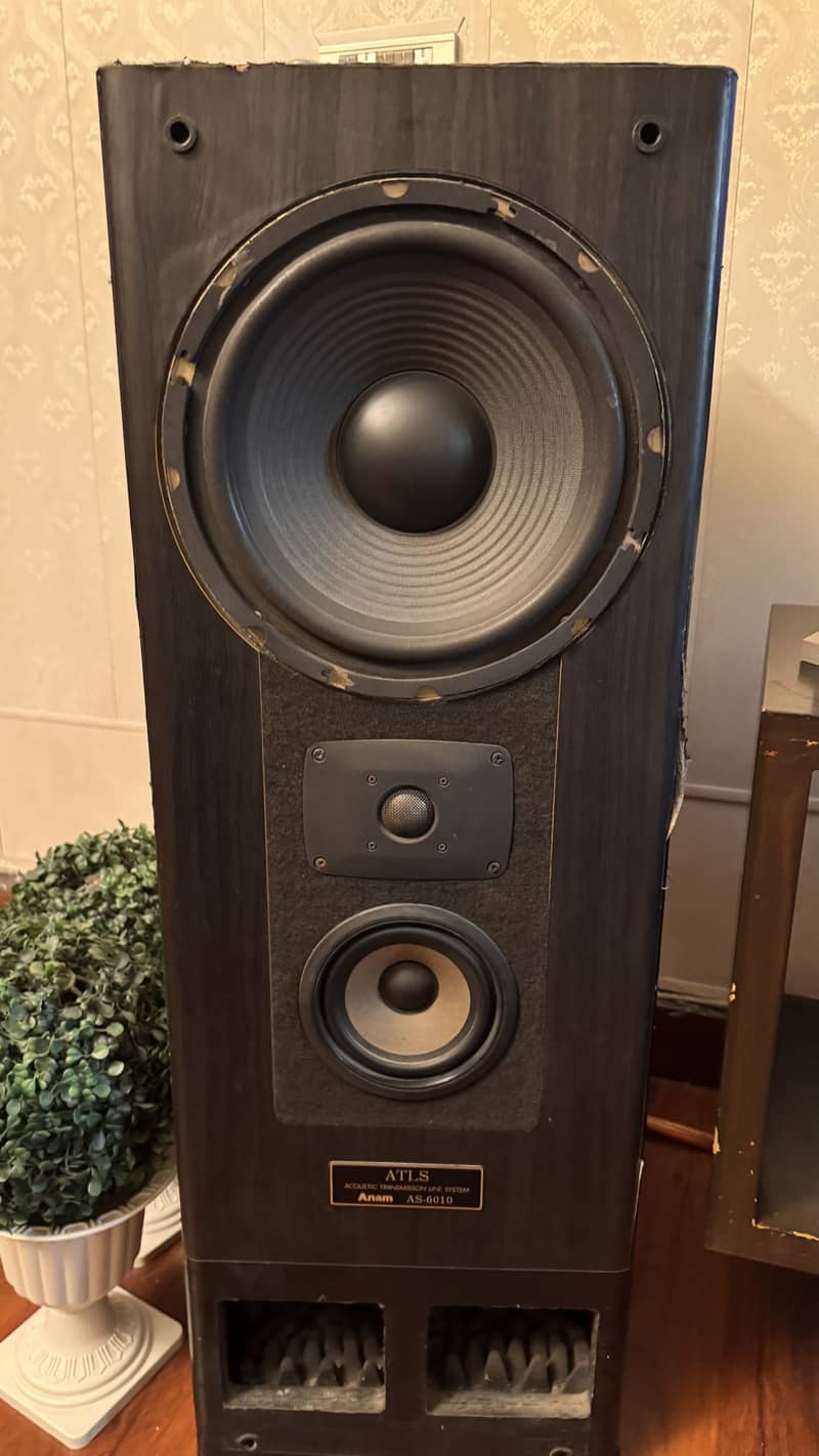 Home audio setup 3