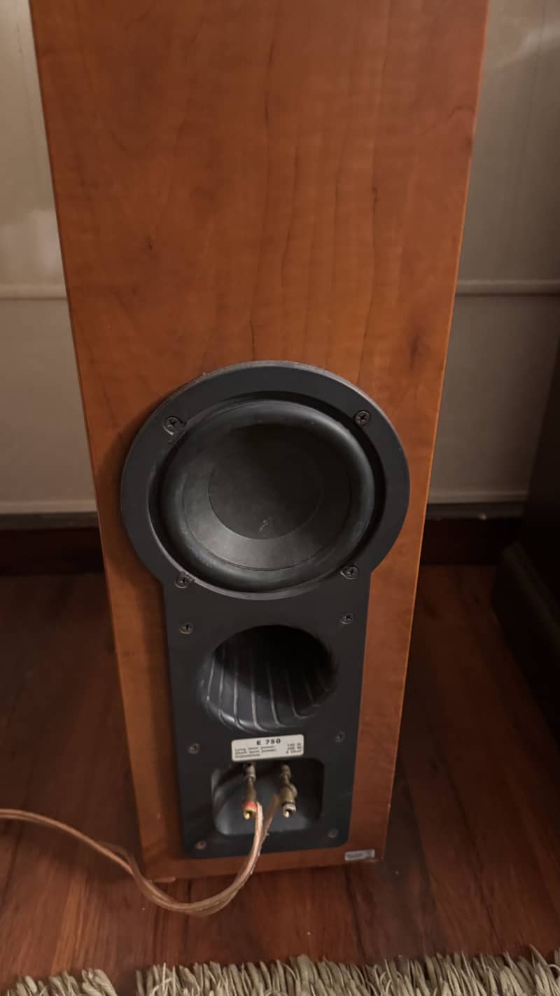 Home audio setup 11