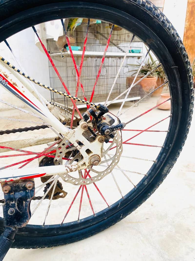 bicycle 5