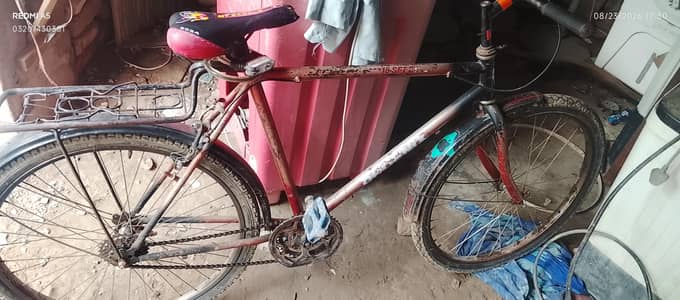 phoenix bicycle