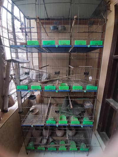 cage for urgent sale