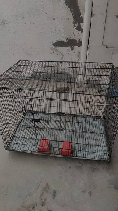 large size cages