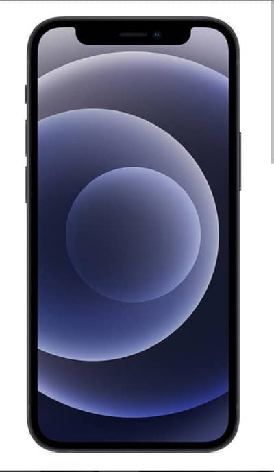 Apple iPhone 12