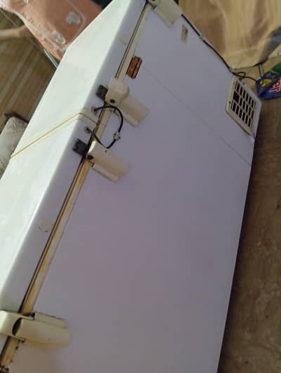 Freezer For Sale