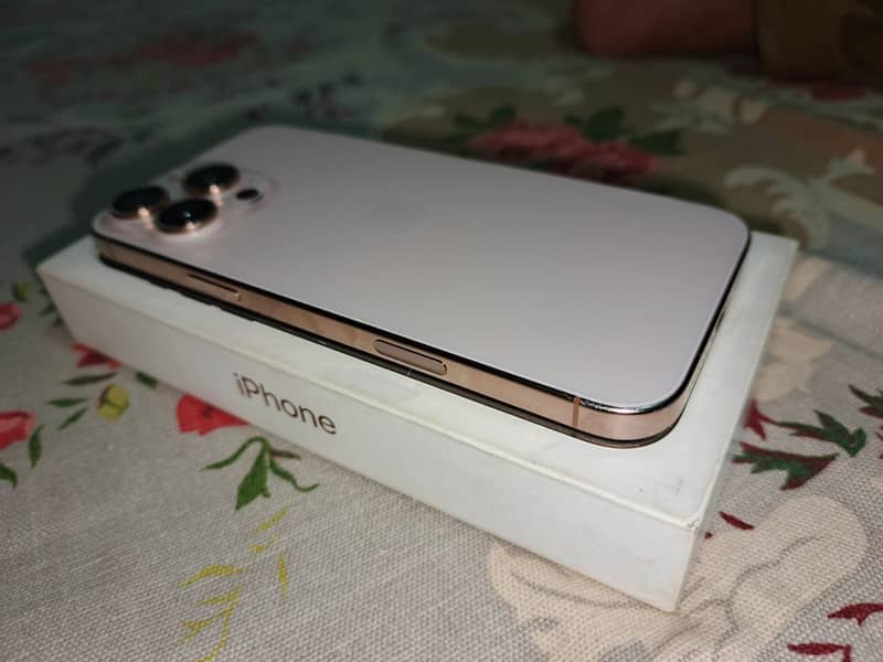 Apple iPhone 16 Pro Max 1