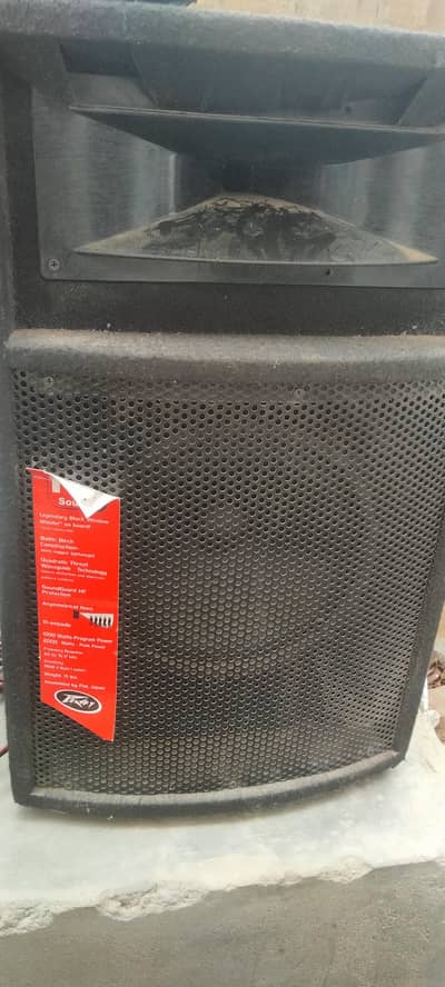 2 wooder + amplifier