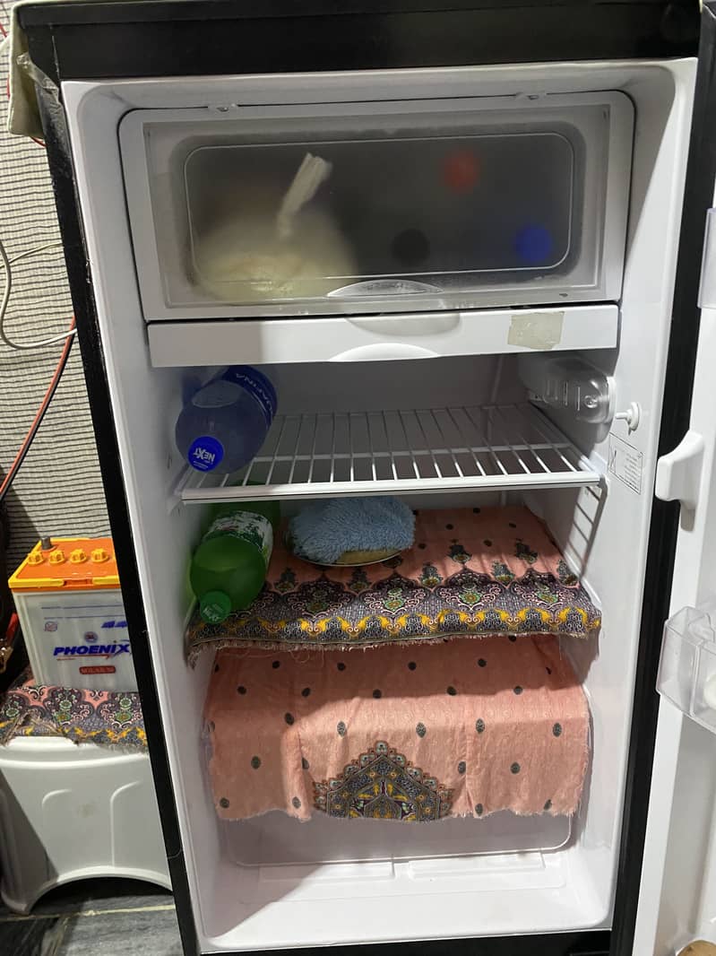 PEL FRIDGE 1