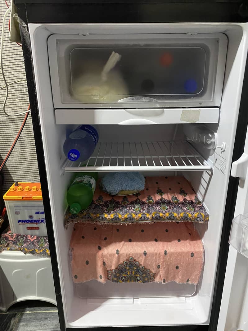 PEL FRIDGE 3